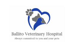 kzn-vets-mri-partner-logo-Ballito-Veterinary-Hospital